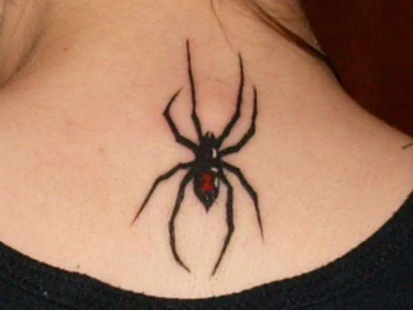 Elegant Spider Tattoo On Neck