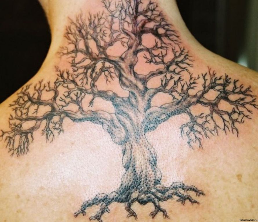 19 Attractive Tree Neck Tattoos