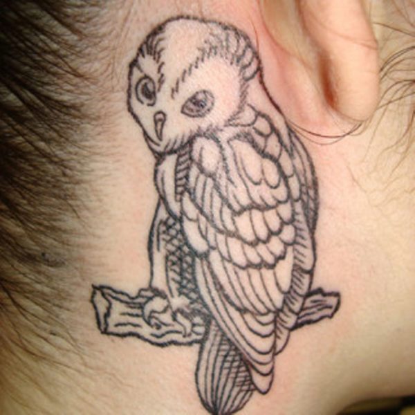 Owl Sitting On Branch Tattoo