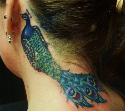 Peacock Tattoo On Ear Back