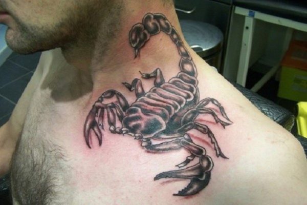 Scorpion Ripped Tattoo